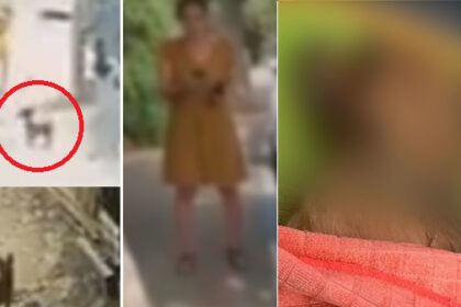 אשה הורגת כלב בתל אביב